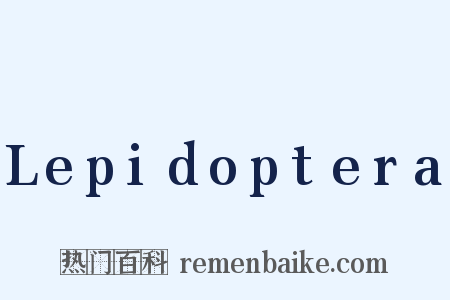 Lepidoptera是什么意思的图片